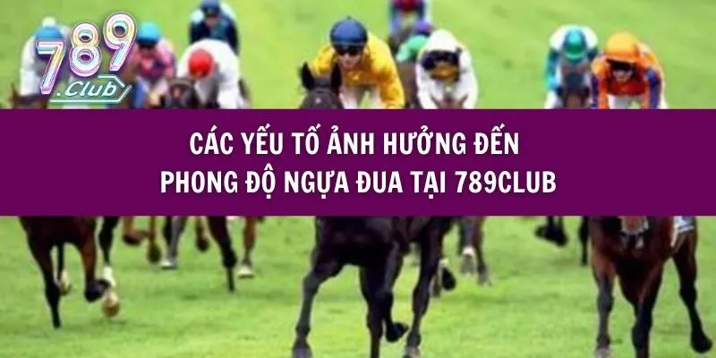 Các Yếu Tố Ảnh Hưởng Đến Phong Độ Ngựa Đua Tại 789club